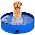 Zone Tech® Foldable Kiddie/Pet Pool