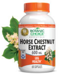 Horse Chestnut Extract 600 mg – 60 Capsules