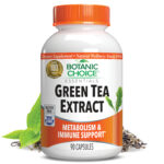 Green Tea Extract – 90 Capsules