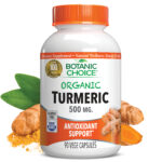 Organic Turmeric 500 mg – 90 Vegetarian Capsules