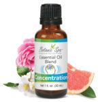 Concentration Essential Aromatherapy and Body Oil Blend – 1 Oz