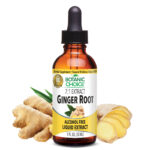 Ginger Root Liquid Extract – General Health Support – 1 Oz