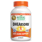 DHEAbsorb™ – Memory Support Supplement – 60 Tablets