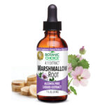 Marshmallow Root Liquid Extract – Respiratory Health Support – 1 Oz