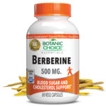 Berberine 500 mg – Blood Sugar Support Supplement – 60 Capsules
