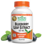 Blueberry Leaf Extract 60 mg – Antioxidants Supplement – 90 Softgels