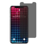 Tempered/Privacy/Anti-Blue iPhone Screen Protectors – iPhone X/Xs/11 Pro – Privacy Glass
