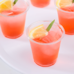 Karat 3oz PET Plastic Cold Cups (62mm) – 2,500 pcs