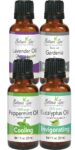 Relaxation Scents Set – Each Bottle