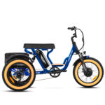 Addmotor Soletri M-366X Etrike for Adult – Fat Tire 3 Wheel Electric Tricycle for Two Person – Blue