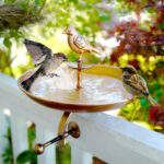 Interchangeable Bronze Butterfly & Bird Bath with Stake & Mounting Clamp