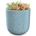 Indoor/Outdoor Speckled Ceramic Pot for Plants – 5.75” – Teal