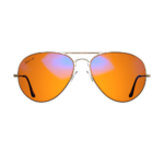 Aviator Night Swannies Gold / Large