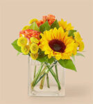 Picnic in the Park Bouquet