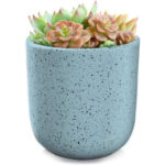 Indoor/Outdoor Speckled Ceramic Pot for Plants – 5.75” – White