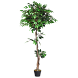 4 to 6-Foot Artificial Plants (4 Options) – 5.5-Foot Artificial Ficus