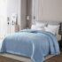 Solid Color Microfiber Down Alternative Blanket – Twin – Sage