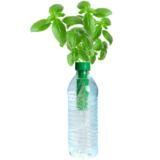 Petomatoâ„¢ Hydroponic Plant Growing Kit – Basil