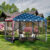 American Flag 10′ x 10′ Pop-up Canopy