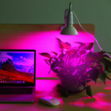 iMounTEKÂ® LED Plant Grow Light with 12W Red/Blue Bulb and Clip-on Base