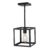 Light Cage Hanging Lighting Fixture with Adjustable Height – Black