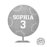 Personalized Name and Jersey Number Metal Sports Ball Sign – Soccer Ball