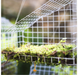 19-Gauge Galvanized 1/2-Inch Wire Fence Roll