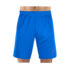 Champion Men’s Moisture-Wicking Cross-Training Shorts (2-Pack) – Blue – X-Large
