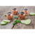 Moscow Mule Mug Set Copper-Plated Stainless Steel Shot Glasses (Set of 4)