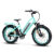 Addmotor Urban Ebike 750W 20AH Cruiser Fat Tire Step Thru Electric Bikes Sale, Cyan