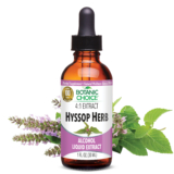 Hyssop Herb Liquid Extract – Respiratory Health Support – 1 Oz