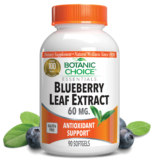 Blueberry Leaf Extract 60 mg – Antioxidants Supplement – 90 Softgels