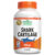 Shark Cartilage 750 mg – Joint Support Supplement – 90 Capsules