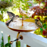 Interchangeable Bronze Butterfly & Bird Bath with Stake & Mounting Clamp