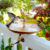 Interchangeable Bronze Butterfly & Bird Bath with Stake & Mounting Clamp