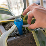 iNovaâ„¢ 24-Piece Plant Self-Watering Spikes