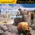 Outlanders 6: Doomstar Relic