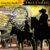 Blood Bond 7: Shootout at Gold Creek