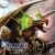 Forest Kingdom Saga: Once In A Blue Moon (2 of 2)