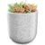 Indoor/Outdoor Speckled Ceramic Pot for Plants – 4.75” – White