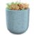 Indoor/Outdoor Speckled Ceramic Pot for Plants – 5.75” – Teal