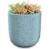 Indoor/Outdoor Speckled Ceramic Pot for Plants – 5.75” – White