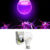 Touch of ECOÂ® 9W Full-Spectrum Grow Lights (1- or 2-Pack) – Bloom Bulb – Purple LED Grow Light- 2 Pk