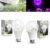 Touch of ECOÂ® 9W Full-Spectrum Grow Lights (1- or 2-Pack) – LED Grow Bulb Light-Combo Purple & White