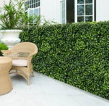 Artificial Boxwood 20” x 20” Hedge Wall Panels (Set of 12)