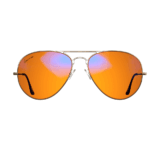 Aviator Night Swannies Gold / Large