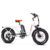 Addmotor GAROOTAN M-81 Electric Cargo Bike Step thru Long Range Cargo Electric Bike with 20Ah Battery