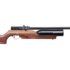 Benjamin Cayden (.22) [PCP Powered, Multi-Shot Side Lever .22 Caliber Hunting Air Rifle]
