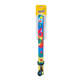 Tie-Dye Pet Leash