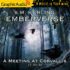 Emberverse 3: A Meeting At Corvallis (2 of 3)